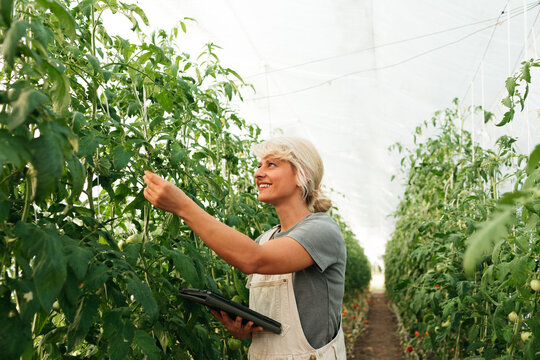 Woman Working in Greenhouse 