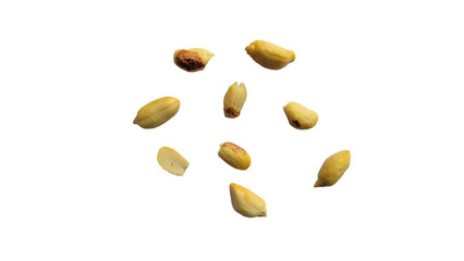 Peanuts seeds