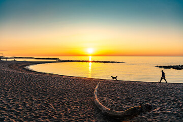 dog walking at dawn on toronto's kew beach lake ontario room for text