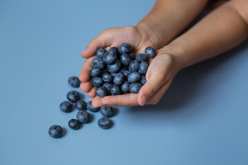 kid's hands with blueberries, full handfuls of ripe, fresh, juicy, tasty and vitamin blueberries 