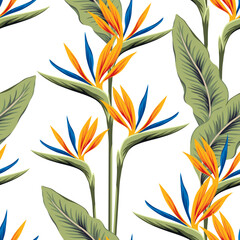 Tropical strelitzia flowers, palm leaves, white background. Vector seamless pattern. Jungle foliage illustration. Exotic plants. Summer beach floral design. Paradise nature
