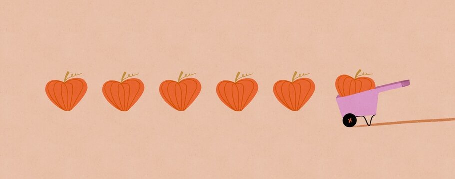 Pumpkin patch fall season illustration
