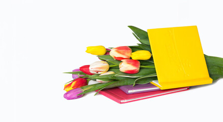 multicolor tulip bouquet with photo book set on the white background, gift on holiday, isolated on white