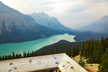 view from the viewpoint of the Peyto lake in Alberta, Canada
