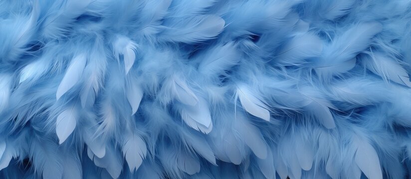 Elegant blue fur and chicken feather texture background. © Vusal
