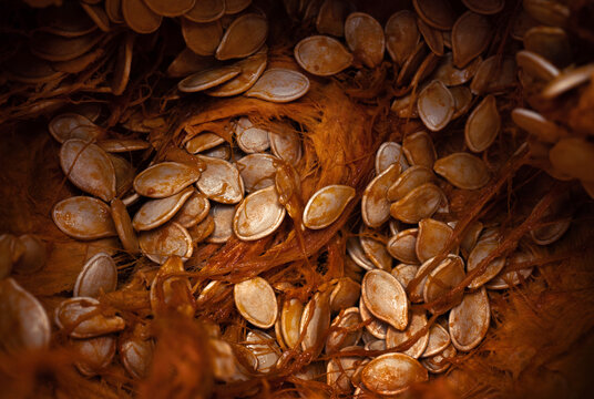 Pumpkin Seeds with Pulp 