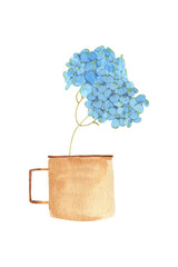 Watercolor blue hydrangeas branch in rustic cup - hand drawn isolated on white background