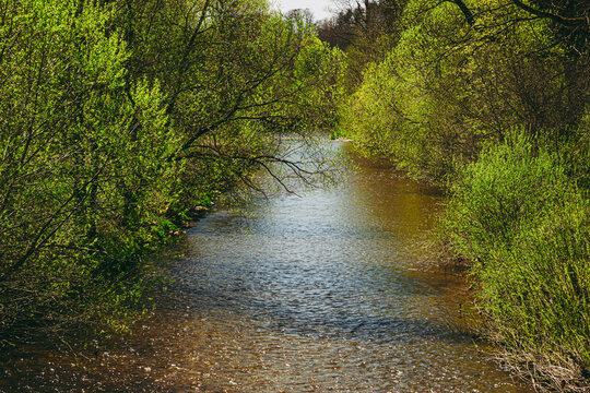Fluss im Frühling mit Laubbäume