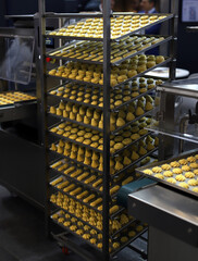 shelves in factory with pastries and butter cakes prepared for baking