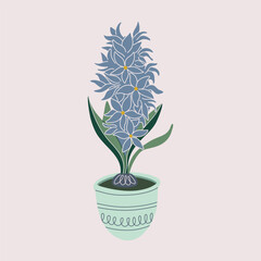 Hyacinth grows from a bulb in flowerpot. Fresh blooms, potted jacinth houseplant. Beautiful Spring flower, hyacinth arrangement. Flat style vector illustration.

