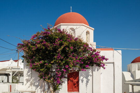 Red dome church and pink flowers at Mykonos, Greek Island 