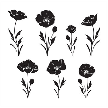 A black silhouette Poppy flower set
