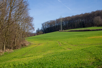 Landscape view of green grass field with blue skybackground.