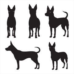 A black silhouette Milo dog set
