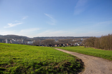Fototapeta na wymiar Landscape view of green grass field with blue skybackground.