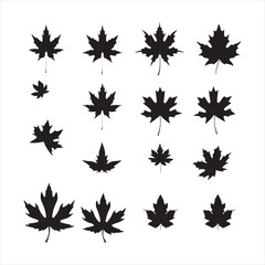 A black silhouette Maple set
