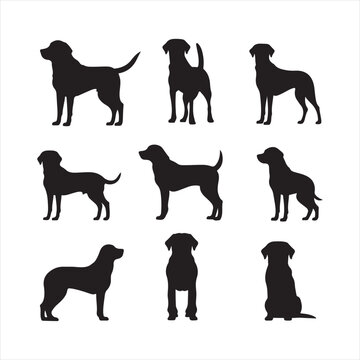 A black silhouette Lucy dog set
