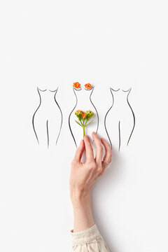 Woman's hand covering intimate part of sketched females with flower