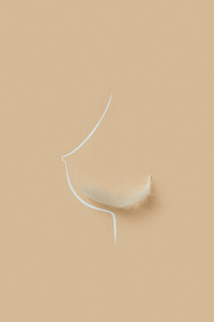White soft feather lying on sketch with line female breast