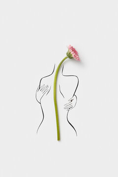 Pink gerbera lying on back of female body sketch with black lines