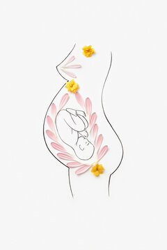 Sketch of pregnant woman with baby in uterus decorated with flowers