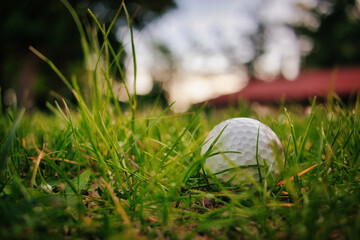 Golf Ball on Green Grass - Golfball im Grass - Wiese - Background - Concept - Sport - Play - Game