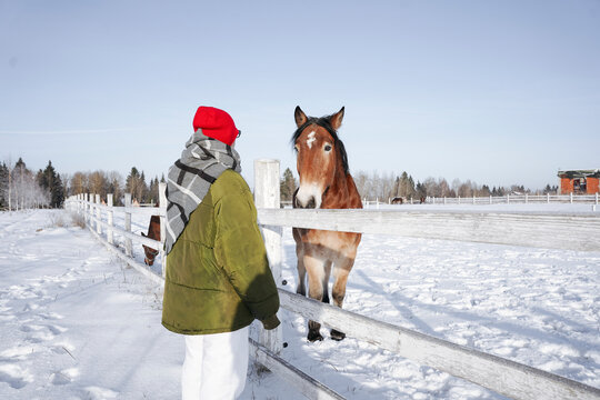 A woman stands next to a paddock with horses in winter