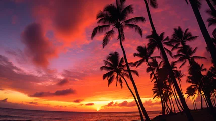 Foto op Plexiglas a sunset over a beach with palm trees © Cusnir