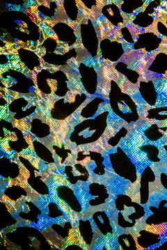 Brillant leopard