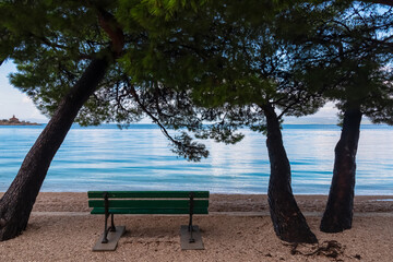 Fototapeta na wymiar Bench surrounded by Aleppo pine trees on the beach in coastal town Makarska, Split-Dalmatia, Croatia, Europe. Coastline of Makarska Riviera, Adriatic Sea. Dreamlike atmosphere. Vacation summer concept