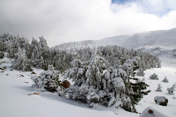 Montaña