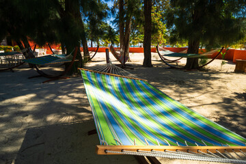 Umbrellas and sunbeds by the exotic tropical beach
