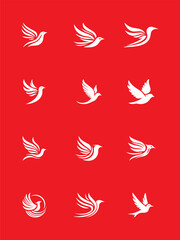Fototapeta na wymiar Vector bird logo set 