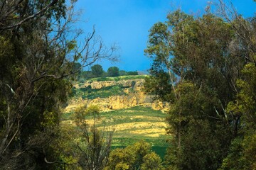 Fototapeta na wymiar Hills and trees in the countryside of Carmona