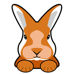Rabbit vector illustration. Easter rabbit, easter Bunny. Vector illustration.