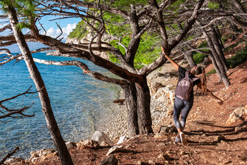 Hiker woman on idyllic hiking trail in coniferous forest along tropical stone beach. Connection between coastal village Krvavica and Makarska, Dalmatia, Croatia, Europe. Makarska Riviera, Adriatic Sea