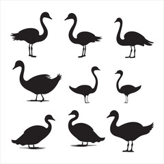 A black silhouette Swan bird set
