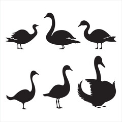 A black silhouette Swan bird set
