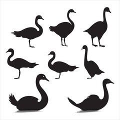 A black silhouette Swan bird set
