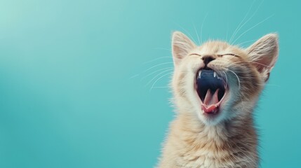 Portrait cute cat expression screaming on bright blue background. AI generated image - obrazy, fototapety, plakaty