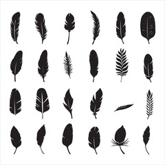 A black silhouette Set of black feather icons
