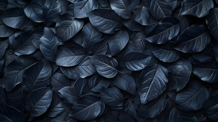 Textures of abstract black leaves for tropical leaf background, flat lay, dark nature concept, digital ai
