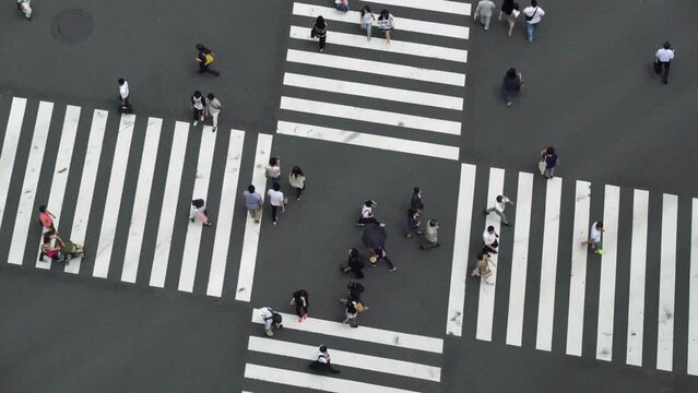 Aerial View of a Crossing in Ginza.
