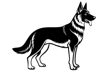 german shepherd vector illustration