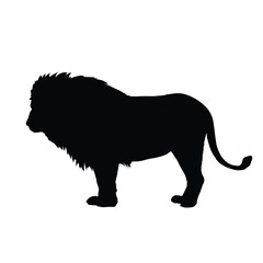 Lion Silhouettes Isolated on White Background