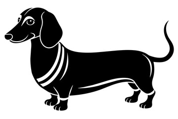 dachshund vector illustration