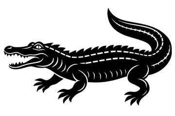 crocodile vector illustration