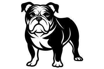 bulldog vector illustration