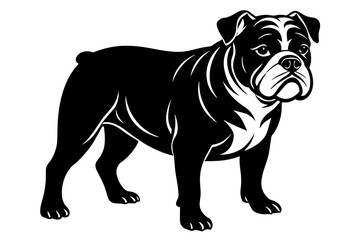 bulldog vector illustration