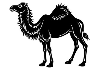 bactrian camel vector illustration